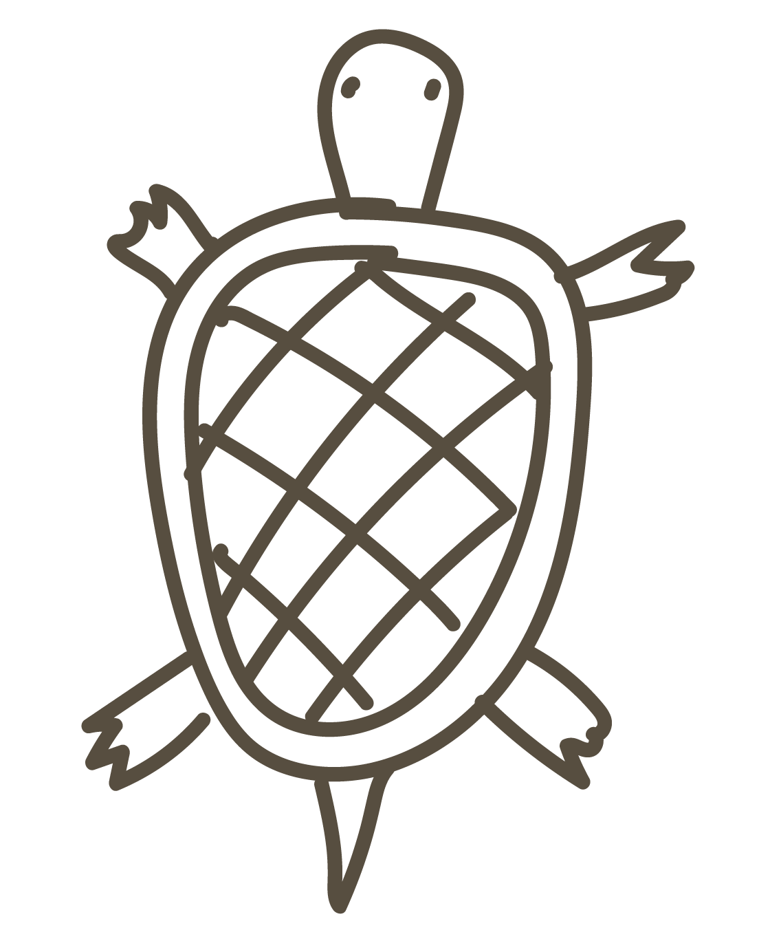 Schildpad